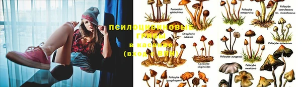 мет Алексеевка