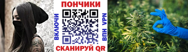 купить наркоту  OMG зеркало  Канабис ГИДРОПОН  Глазов 